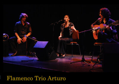 Spaanse gitarist Arturo, als flamenco gitarist solo of duo of trio