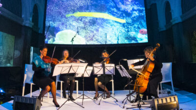 klassiek ensemble dames salon orkest