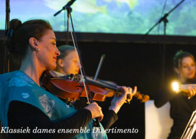 klassiek ensemble dames salon orkest