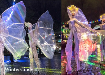 Steltenlopers Wintervlinders met LED lichtjes