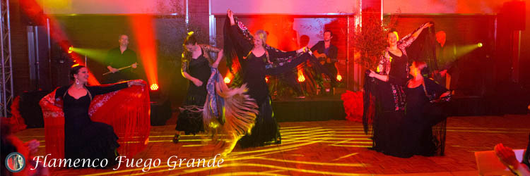 Flamenco Fuego Grande