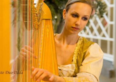 Harp viool duo Dada