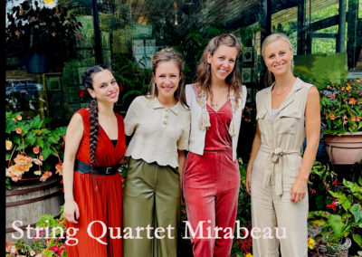 String Quartet Mirabeau classic and modern music